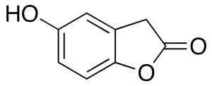 Homogentisic Acid gamma-Lactone