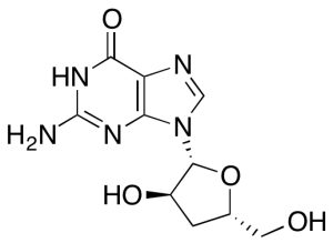 3’-Deoxyguanosine (>90%)