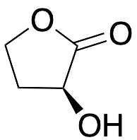(3S)-3-Hydroxydihydrofuran-2(3H)-one