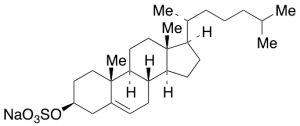 Cholesterol 3-Sulfate Sodium Salt