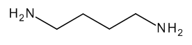 1,4-Diaminobutane
