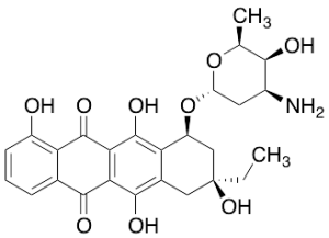 13-Deoxycarminomycin