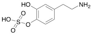 Dopamine 4-O-Sulfate