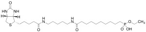 10-Ethoxyphosphinyl-N-biotinamidopentyldecanamide