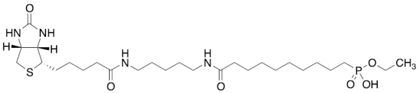 10-Ethoxyphosphinyl-N-biotinamidopentyldecanamide