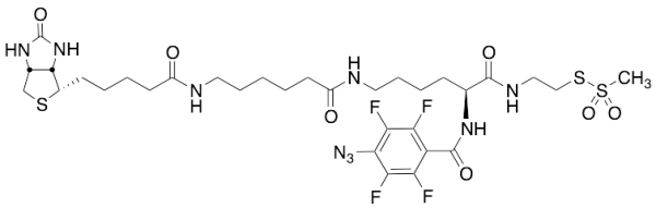 2-[N2-(4-Azido-2,3,5,6-tetrafluorobenzoyl)-N6-(6-biotinamidocaproyl)-L-lysinyl]ethyl Methanethiosulf