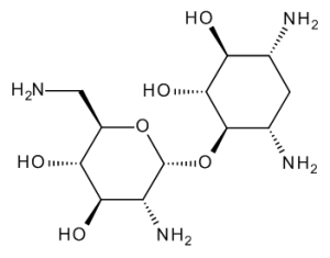 Neamine