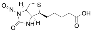 1'-Nitrosobiotin