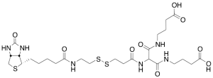 [Biotinylamidoethyl]-dithiomethylenemalonic Acid Bis(4-aminobutyric Acid)