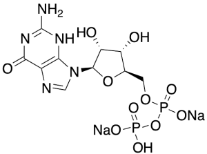 Guanosine 5'-Diphosphate Disodium Salt