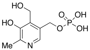 Pyridoxol 5'-Phosphate >90%