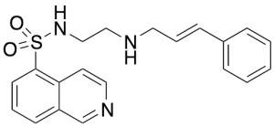 N-[2-(p-Cinnamylamino)ethyl]-5-isoquinolone Sulfonamide