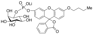 D,L-myo-Inositol-1-(n-butylfluoresceinylphosphate) Lithium Salt, ~80%