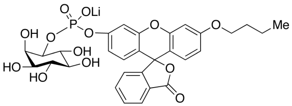 D,L-myo-Inositol-1-(n-butylfluoresceinylphosphate) Lithium Salt, ~80%