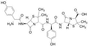Amoxicillin Closed-loop Dimer