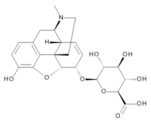 Morphine-6-beta-D-glucuronide