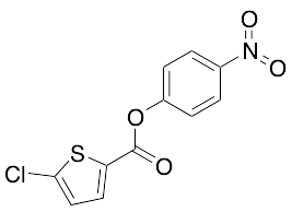 5-Chloro-2-Thiophenecarboxylic Acid 4-Nitrophenyl Ester