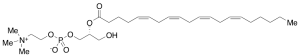 2-Arachidonoyl-sn-glycero-3-phosphocholine (>90%)
