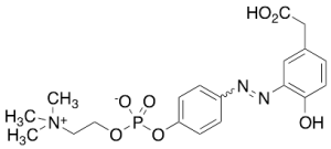 4-Hydroxy-3-(p-diazophenylphosphorylcholine) Phenylacetic Acid