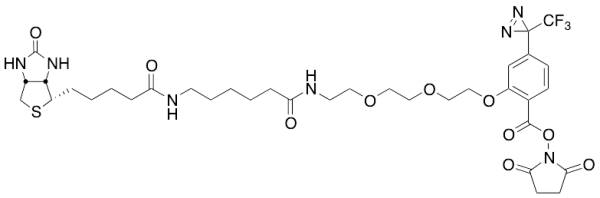 2-[2-[2-[2-[6-(Biotinylaminohexanoyl]aminoethoxy]ethoxy]ethoxy]-4-[3-(trifluoromethyl)-3H-diazirin-3-yl]benzoic Acid N-Hydroxysuccinimide Ester