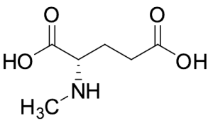 N-Methyl-L-glutamic Acid