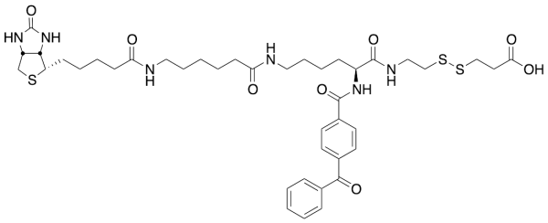 2-{N2-[NAlpha-Benzoylbenzoicamido-N6-6-biotinamidocaproyl]lysinylamido}ethyl-2’-carboxylethyl Disulfide