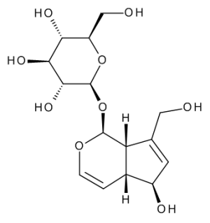 Aucubine
