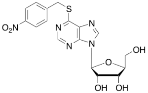 S-(4-Nitrobenzyl)-6-thioinosine