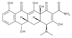 Demethyltetracycline (>90%)