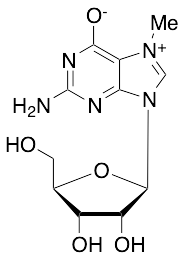 7-Methylguanosine