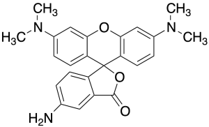 5-Aminotetramethyl Rhodamine