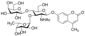 Lewis X Trisaccharide, 4-Methylumbelliferyl Glycoside