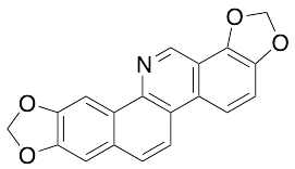 Norsanguinarine