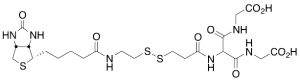 [Biotinylamidoethyl]-dithiomethylenemalonic Acid Bis(2-aminoethanoic Acid)