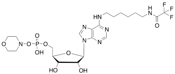 (-)-Inosine Dehydroxy-N-(6-iminohexyl)-2,2,2-trifluoroacetamide Phospho-morpholine