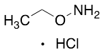 Ethoxyamine Hydrochloride