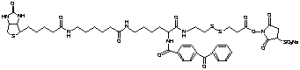 2-{N2-[NAlpha-Benzoylbenzoicamido-N6-6-biotinamidocaproyl]lysinylamido}ethyl-2’-(N-sulfosuccinimidyl