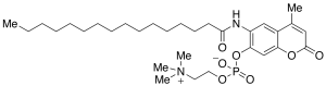 6-Hexadecanoylamino-4-methylumbelliferyl Phosphorylcholine