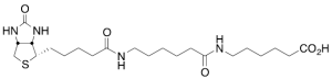 LC-LC(+)-Biotin