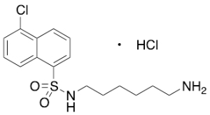 N-(6-Aminohexyl)-5-chloro-1-naphthalenesulfonamide Hydrochloride