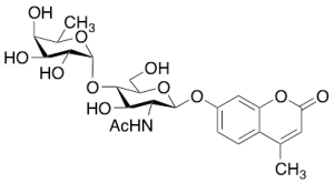 4-Methylumbelliferyl 2-Acetamido-2-deoxy-4-O-(Alpha-L-fucopyranosyl)-Beta-D-glucopyranoside