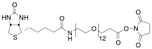 EZ-Link NHS-PEG12-Biotin