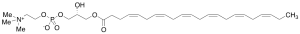 1-Docosahexaenoyl-sn-glycero-3-phosphocholine (>90%)