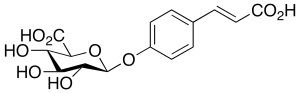 p-Coumaric Acid 4-O-b-D-Glucuronide