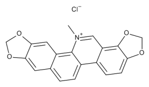 Sanguinarium Chloride