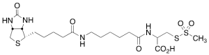 N-[6-(Biotinamido)hexanoyl]-(R)-2-amino-2-carboxyethylmethanethiosulfonate
