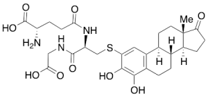 4-Hydroxyestrone-2-glutathione