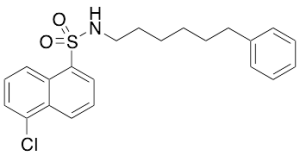 N-(6-Phenylhexyl)-5-chloro-1-naphthalenesulfonamide