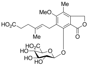 Mycophenolic Acid Beta-D-Glucuronide