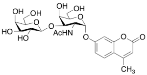 4-Methylumbelliferyl 2-Acetamido-2-deoxy-3-O-(b-D-galactopyranosyl)-a-D-galactopyranoside